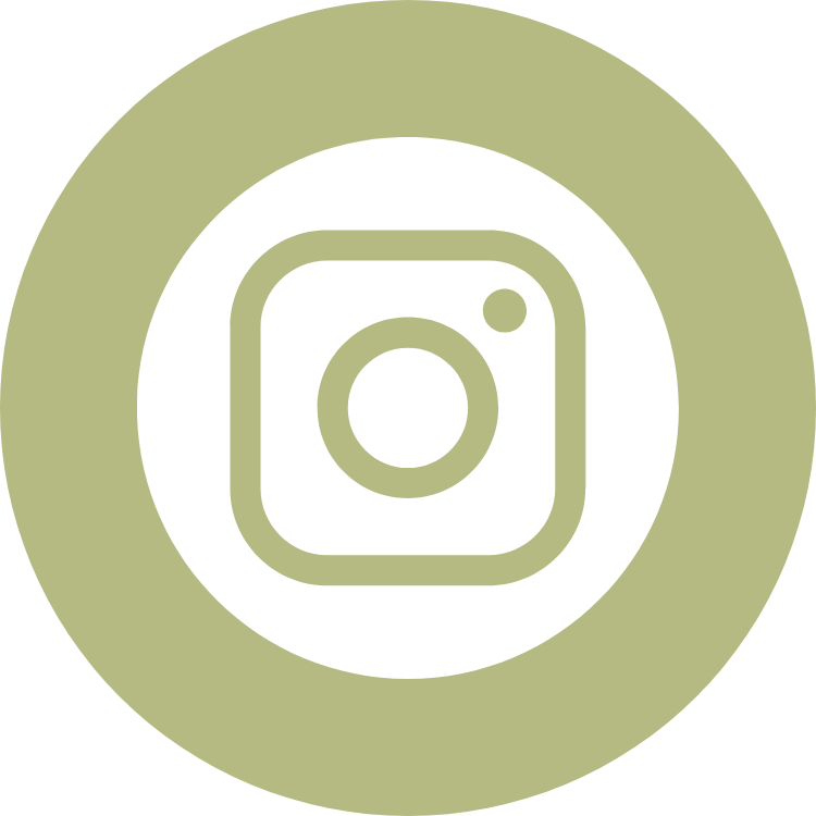 Instagram icon